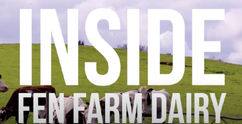 Inside Fen Farm Dairy: What’s so special about milk?