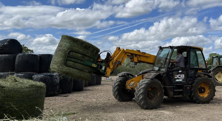 Seasonal Update – September 2024