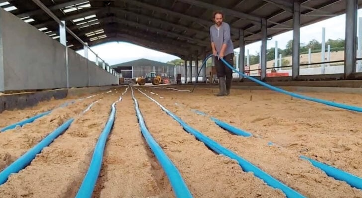 Episode 10 – Sustainability at Fen Farm Dairy