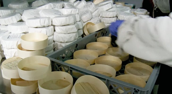 Episode 3 – Christmas cheese sales go crazy!