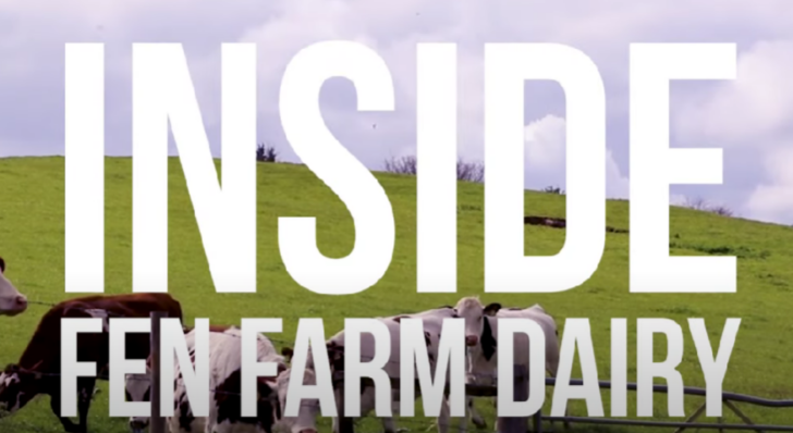 Inside Fen Farm Dairy: What’s so special about milk?