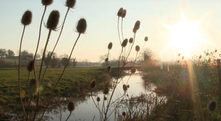 Looking back, looking forward - Episode 12