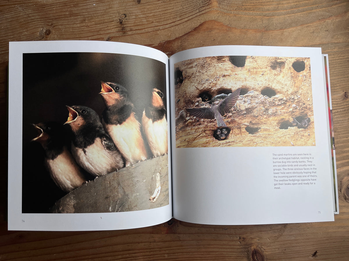 Frances Crickmore Wildlife Book